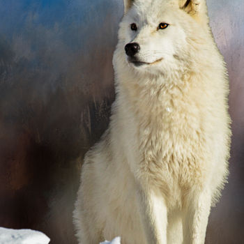 Photographie intitulée "Loup arctique" par Marie-Elise Mathieu, Œuvre d'art originale, Photographie numérique