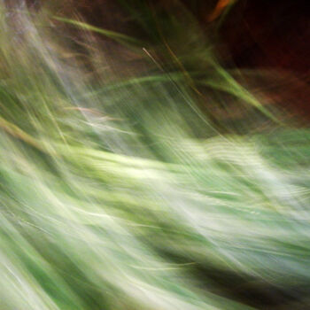 Photography titled "Abstraction" by Marie France Bussy (COLIBRI), Original Artwork