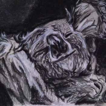 Drawing titled "KOALA" by Marie G, Original Artwork, Charcoal