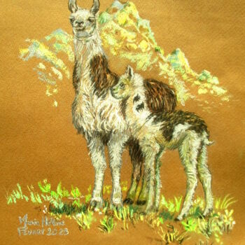 Dessin intitulée "Les lamas" par Bilitis, Œuvre d'art originale, Pastel
