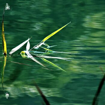 Photographie intitulée "Reflets sur le lac 1" par Marie Marlène Mahalatchimy, Œuvre d'art originale, Photographie non manipu…