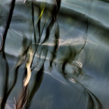 摄影 标题为“Reflets sur le lac…” 由Marie Marlène Mahalatchimy, 原创艺术品, 数码摄影