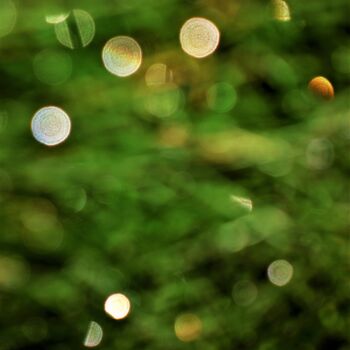 Photography titled "Dans le vert" by Marie Marlène Mahalatchimy, Original Artwork, Non Manipulated Photography
