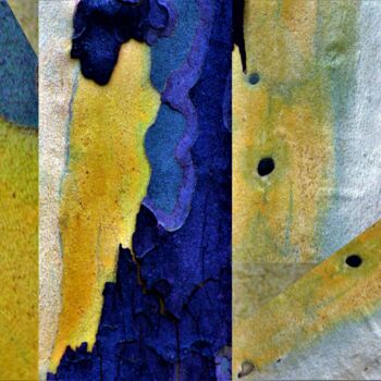 Photography titled "Bark in Colors Séri…" by Marie Marlène Mahalatchimy, Original Artwork, Non Manipulated Photography
