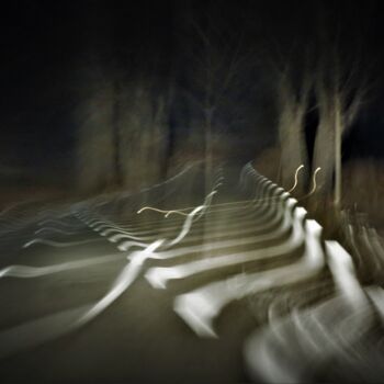 Фотография под названием "Stranger's Zebras o…" - Marie Marlène Mahalatchimy, Подлинное произведение искусства, Не манипулир…