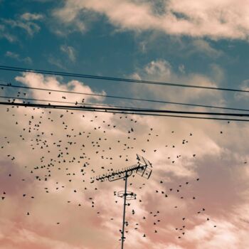 Photographie intitulée "Antenne, ciel et ét…" par Marie Navarre, Œuvre d'art originale, Photographie numérique