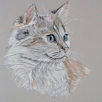 Drawing titled "chat" by Marie-Noelle Roy, Original Artwork, Pastel