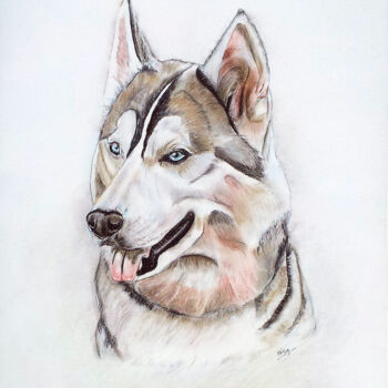 Schilderij getiteld "husky.jpg" door Marie-Noelle Roy, Origineel Kunstwerk, Pastel