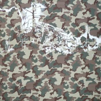 Painting titled "Camouflé 3" by Marie-Odile Ginies, Original Artwork