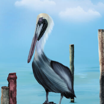 Peinture intitulée "Pelican" par Marie Perony, Œuvre d'art originale, Peinture numérique