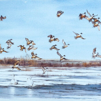 Pintura titulada "envol de canards su…" por Marie-Pierre Le Sellin, Obra de arte original, Acuarela