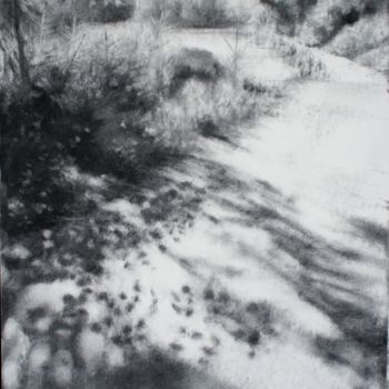 Dessin intitulée ""Jeu d'ombres sur l…" par Marie-Hélène Yernaux, Œuvre d'art originale, Fusain