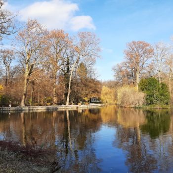 Фотография под названием "Nature, Photography…" - Marija Sviličić, Подлинное произведение искусства, Цифровая фотография