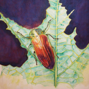 Painting titled "Colorful beetle" by Marijke Vanwezer, Original Artwork, Watercolor