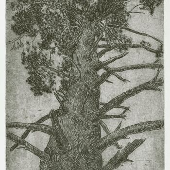 Printmaking titled "Pinetree Kingdom" by Maslova, Original Artwork, Engraving