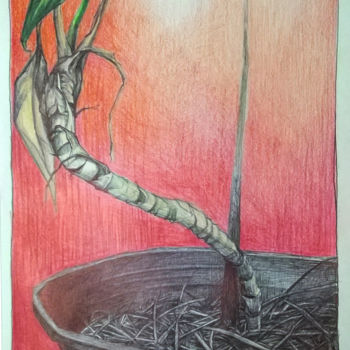 Drawing titled "Detalle de una colu…" by Marila Tarabay, Original Artwork, Pencil