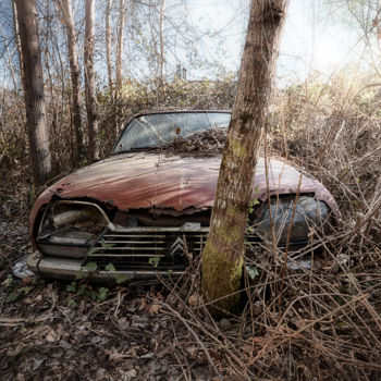 Photographie intitulée "Arbre à cames" par Marilyne K., Œuvre d'art originale, Photographie numérique