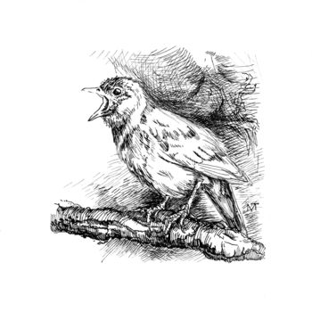 Desenho intitulada "nightingale" por Marina Tereshkina, Obras de arte originais, Tinta