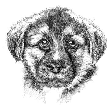Dessin intitulée "Sweet puppy" par Marina Tereshkina, Œuvre d'art originale, Encre