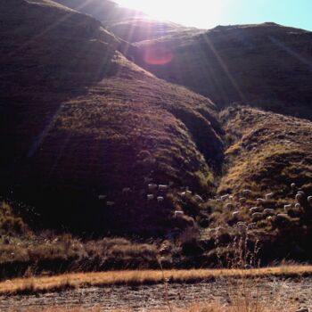 Photography titled "Pâturage au Lesotho" by Marine Colombier, Original Artwork, Digital Photography