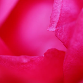 Photographie intitulée "Au bord du Coeur" par Marine Lacaton, Œuvre d'art originale, Photographie numérique