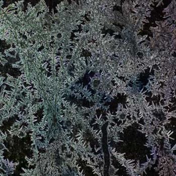 Fotografia zatytułowany „Iceflowers - von Ma…” autorstwa Mario Strack, Oryginalna praca
