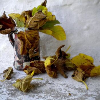 Fotografie getiteld "vaso di foglie morte" door Mario Venza, Origineel Kunstwerk