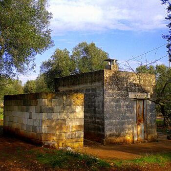 Fotografia intitulada "villa e giardino" por Mario Venza, Obras de arte originais