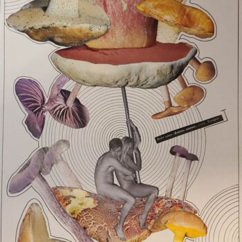 Collages titulada "Bolet Satan" por Marion Revoyre, Obra de arte original, Collages