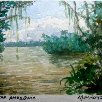 Painting titled "inside-the-amazonia…" by Mario Tossi, Original Artwork