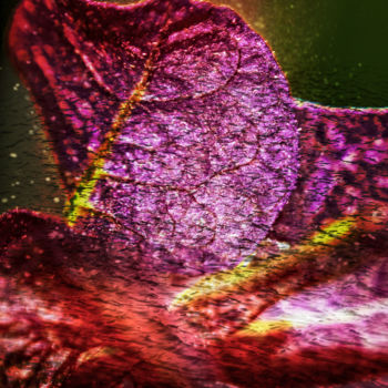 Фотография под названием "Purple Lake" - Marisa Melo, Подлинное произведение искусства, Цифровая фотография