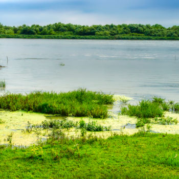 Fotografie getiteld "The Danube Delta" door Marian Bogatu, Origineel Kunstwerk, Gemanipuleerde fotografie
