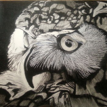 Drawing titled "Le Hibou" by Momar, Original Artwork, Charcoal
