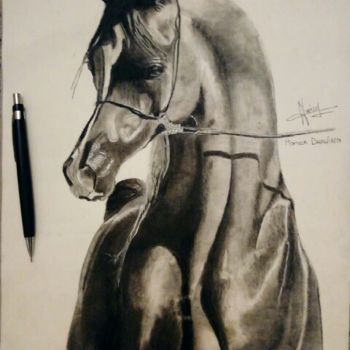 Drawing titled "Cheval Arabian" by Momar, Original Artwork, Charcoal