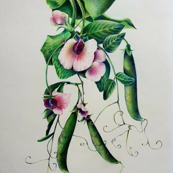 Peinture intitulée "Green peas" par Mariya Gromova, Œuvre d'art originale, Crayon