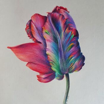 Peinture intitulée "Тюльпан попугайный" par Mariya Gromova, Œuvre d'art originale, Crayon