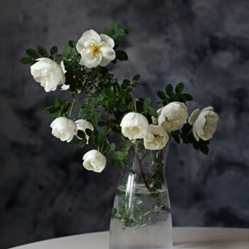 Photography titled "Still Life White Ro…" by Mariya Zheleznova, Original Artwork, Digital Photography