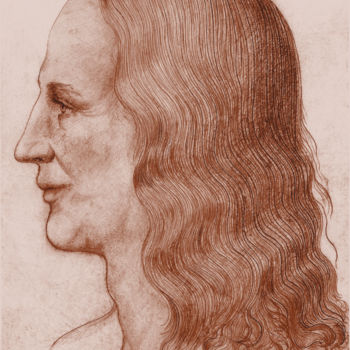 Disegno intitolato "1-leonardo-face-rec…" da Michael Schwahn, Opera d'arte originale, Fotografia digitale