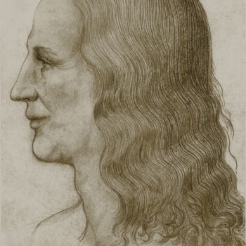 Tekening getiteld "5-leonardo-face-rec…" door Michael Schwahn, Origineel Kunstwerk, Digitale fotografie