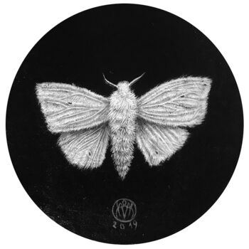Картина под названием "White Moth" - Marko Karadjinovic, Подлинное произведение искусства, Акрил