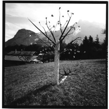 Sculpture intitulée "arbre" par Julien Marolf, Œuvre d'art originale