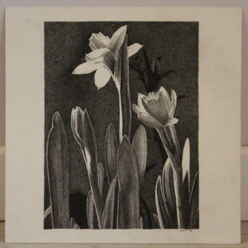 Desenho intitulada "Flowers" por Marta Rizzi, Obras de arte originais, Lápis