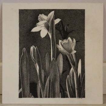 Drawing titled "Flowers" by Marta Rizzi, Original Artwork, Pencil