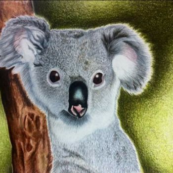 Disegno intitolato "Koala" da Marta Castellani, Opera d'arte originale, Matite colorate