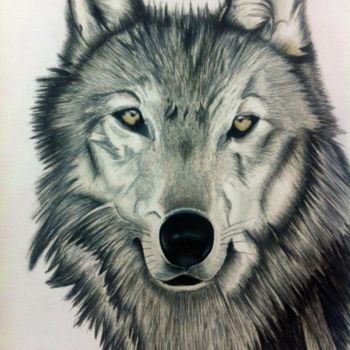 Disegno intitolato "Il lupo" da Marta Castellani, Opera d'arte originale, Matite colorate
