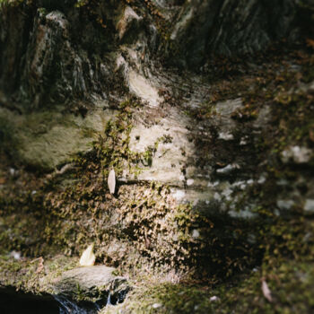 Photography titled "VALLEY" by Martin Ecker, Original Artwork, Analog photography
