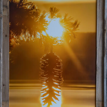 Fotografia zatytułowany „Sugar Pine Cone” autorstwa Martin Gollery, Oryginalna praca, Fotografia cyfrowa Zamontowany na Metal