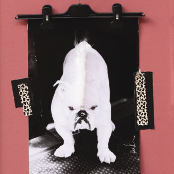 Collagen mit dem Titel "Bad Boy" von Martin Wieland, Original-Kunstwerk, Collagen Auf Karton montiert