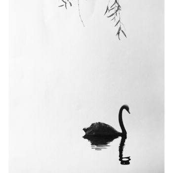 Zeichnungen mit dem Titel "Sólo-un-cisne.jpg" von Martín Yutronic, Original-Kunstwerk, Graphit