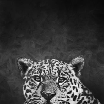 Desenho intitulada "Jaguar.jpeg" por Martín Yutronic, Obras de arte originais, Grafite